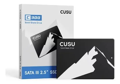 SSD CUSO 256GB C300